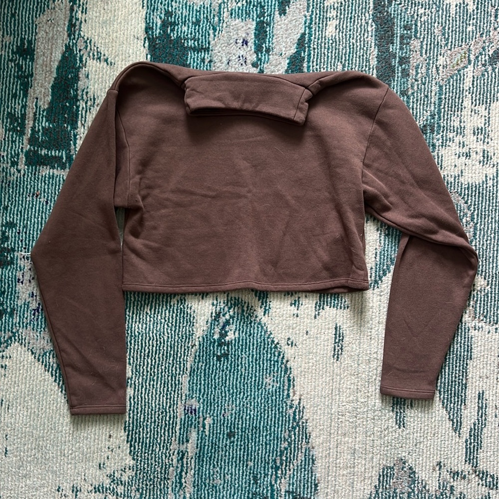 Express Brown Cropped Turtleneck Sweater
